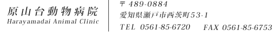 R䓮a@b489-0884 mˎs53-1 TEL 0561-85-6720 FAX 0561-85-6720