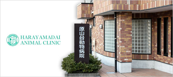 R䓮a@